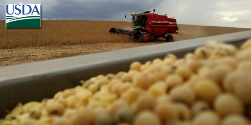 Colheita da soja nos EUA evolui bem e já alcança 22% da área
