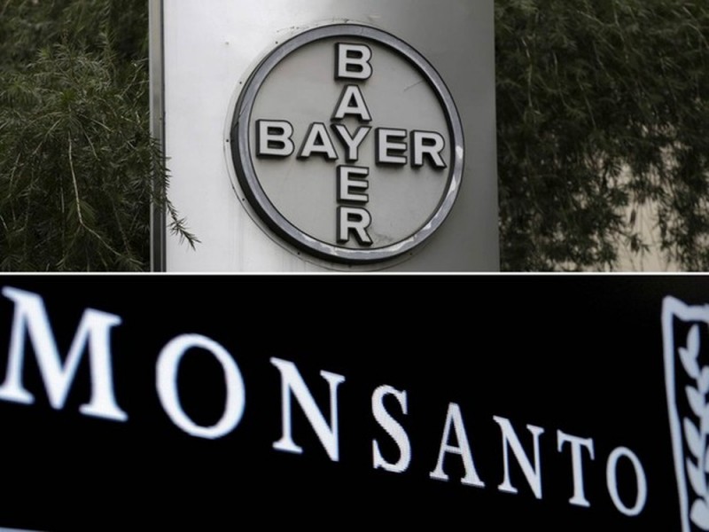 Superintendência do Cade recomenda rejeição de fusão entre Monsanto e Bayer