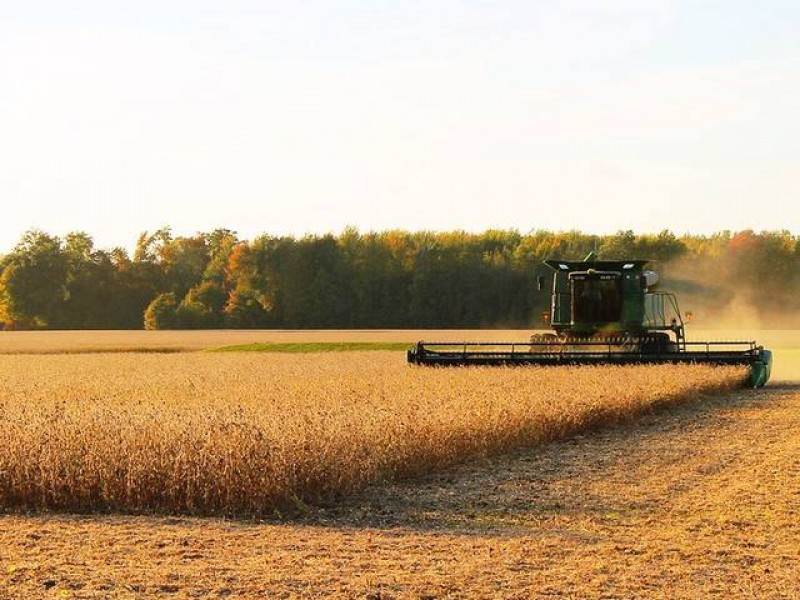 USDA reduz estimativas para a safra dos EUA e estoques finais