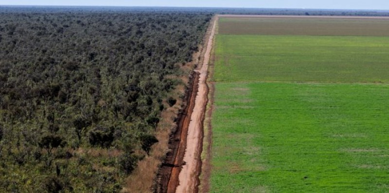 Abiove contesta campanha internacional para desmatamento zero no cerrado brasileiro
