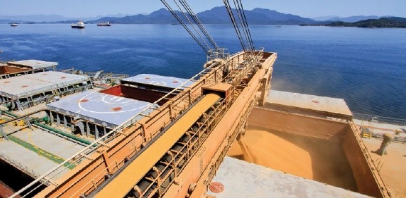 Produtores do MT vendem mais milho com Real fraco Vendas chegam a 90% da produção do MT