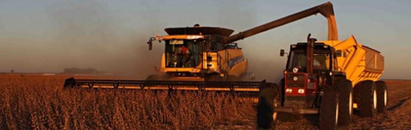 Colheita da soja chega a 96% da área nos EUA e fica dentro do esperado