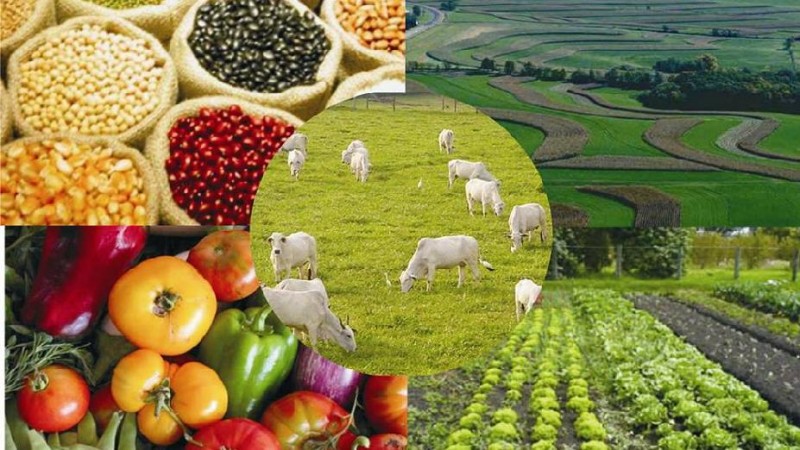 O lado ruim da queda nos preços dos alimentos