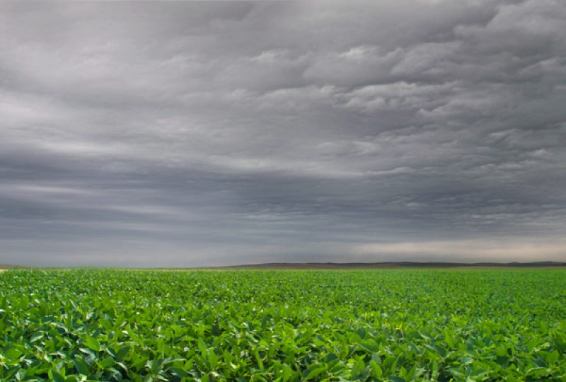 Chuvas do verão de 2018 deverão garantir a produção agrícola