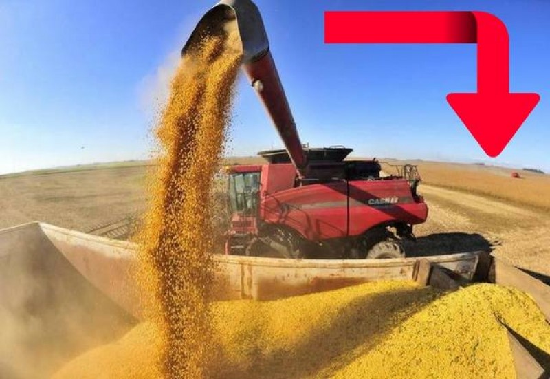 Mercado brasileiro tem ritmo de negócios lento