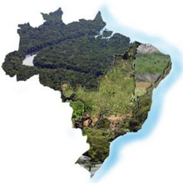 Lavouras são apenas 7,6% do Brasil, segundo a NASA