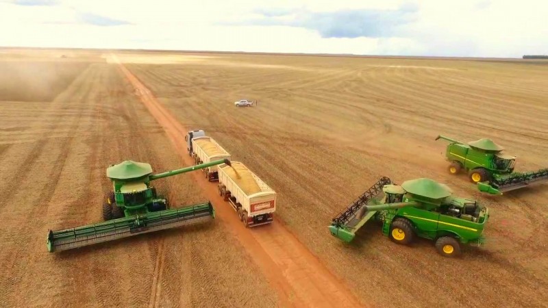 Primeiras áreas com soja são colhidas, mas chuvas preocupam