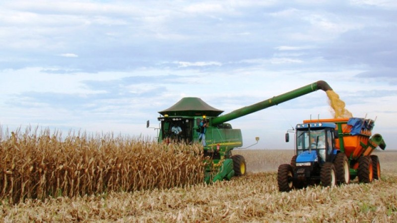 Produtividade pode recuar 11,36% e ficar 94,9 sacas por hectare em Mato Grosso