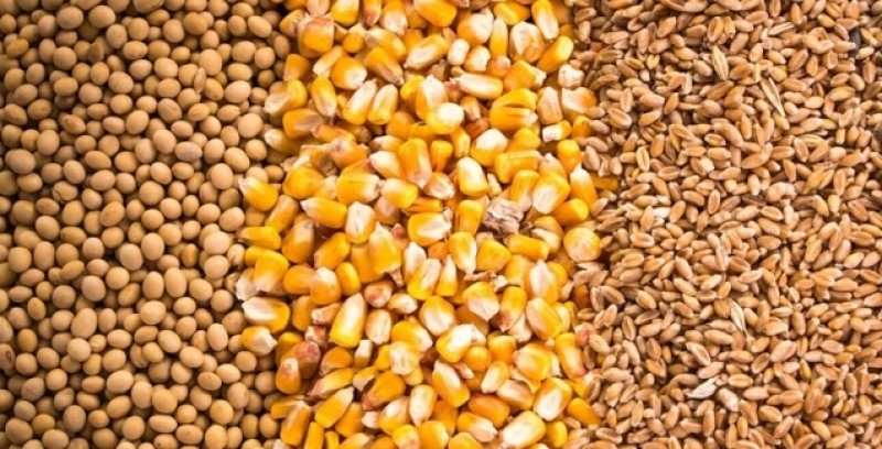 CNA levanta custos de produção de grãos no Paraná