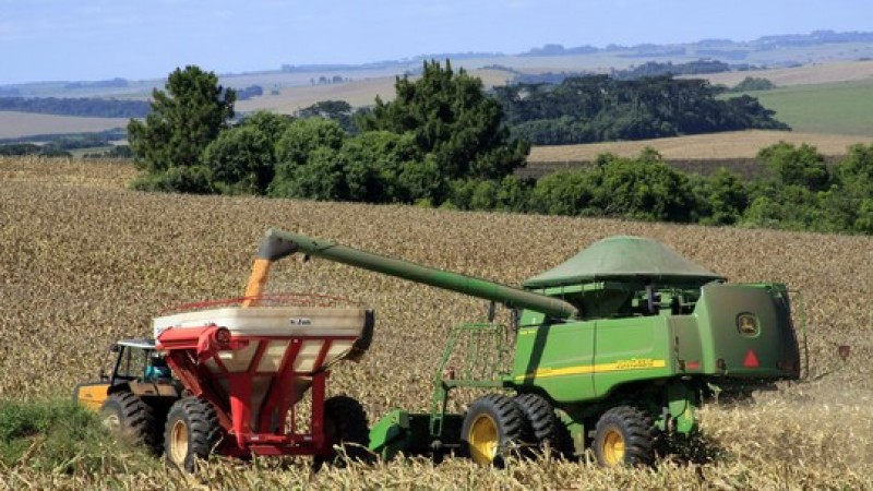 Governo projeta salto de 30% na produção de grãos do Brasil em 10 anos