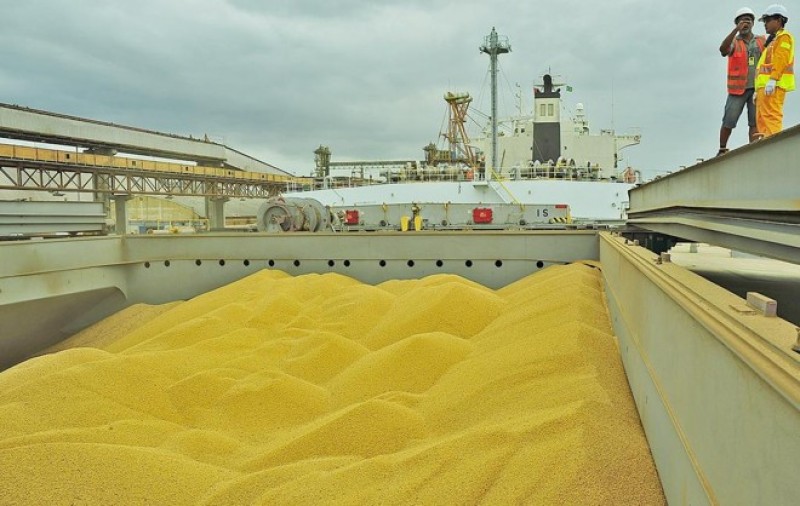 Confira os destaques da exportação do agronegócio brasileiro no 1° semestre de 2018!
