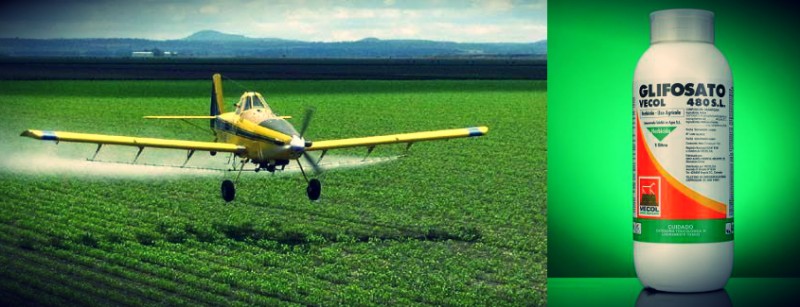 TRF-1 derruba liminar que suspendia registro de glifosato e outros agroquímicos