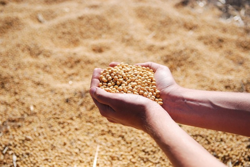 Valor da produção agropecuária do país deve somar R$ 565,6 bi em 2018