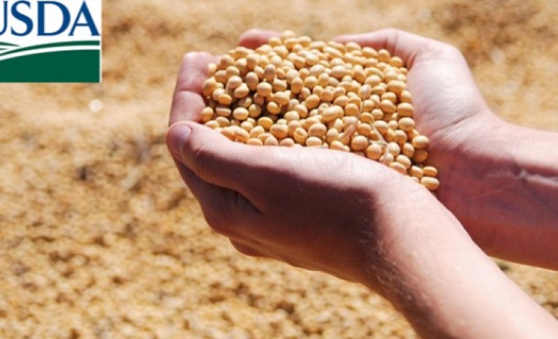 USDA surpreende e reduz safra americana de soja, mas eleva estoques finais