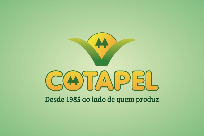 A Cotapel completa seu 33 anos de trabalho e dedicação!