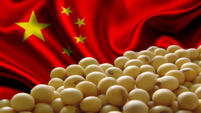 Demanda da China por soja busca retomar sua força em 2019