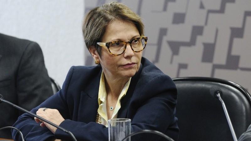 Desmame de subsídios não pode ser radical', diz ministra da Agricultura