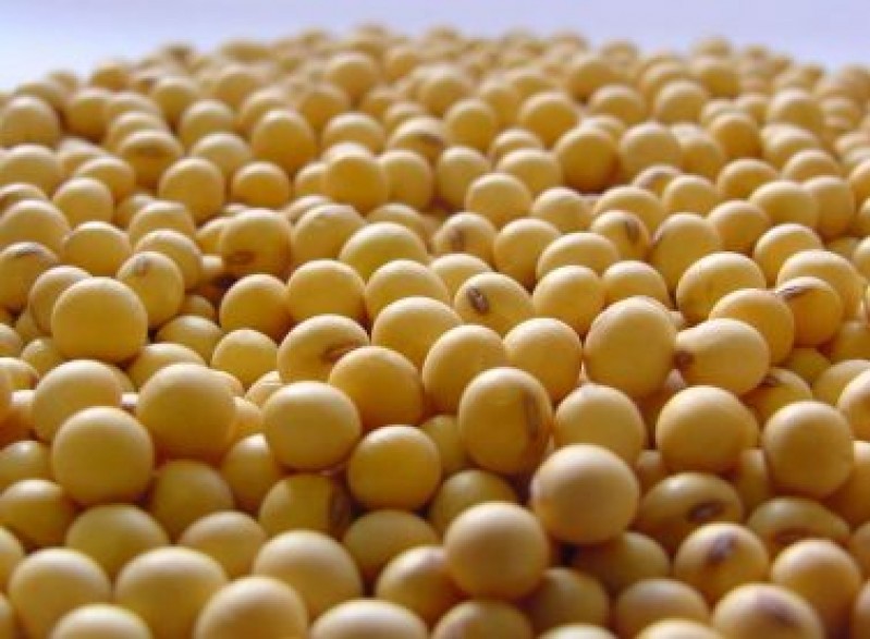 Comercialização da nova safra de soja perde ritmo no Brasil.