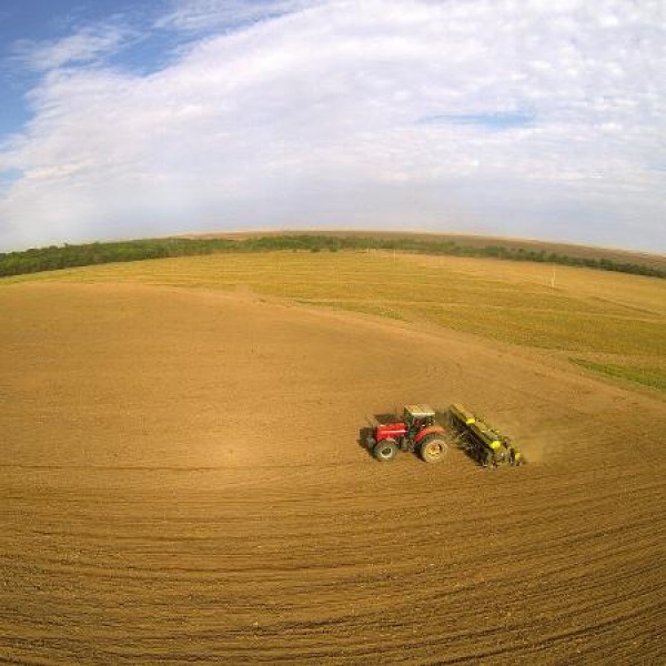 Em meio à queda de soja na safra, campeões de produtividade esperam cresce