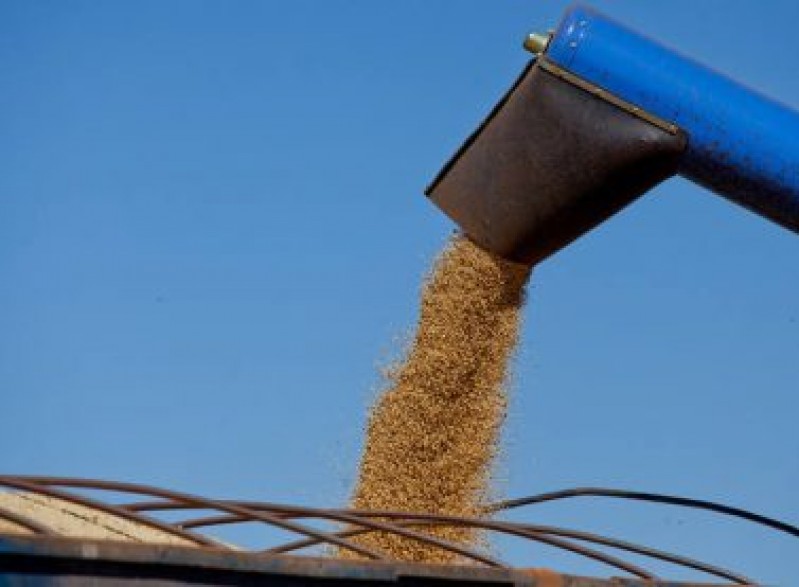 Ritmo atual de colheita da soja está quase 2 vezes mais rápido que média no país.