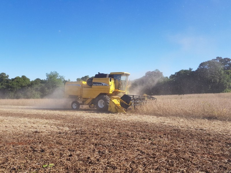 Colheita da soja avança no RS e lavouras devem produzir bem, diz Emater.