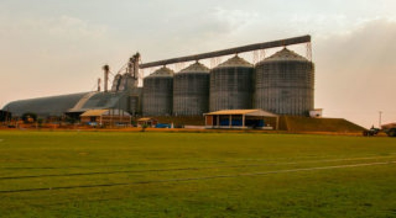 Brasil é capaz de armazenar apenas 72% da safra