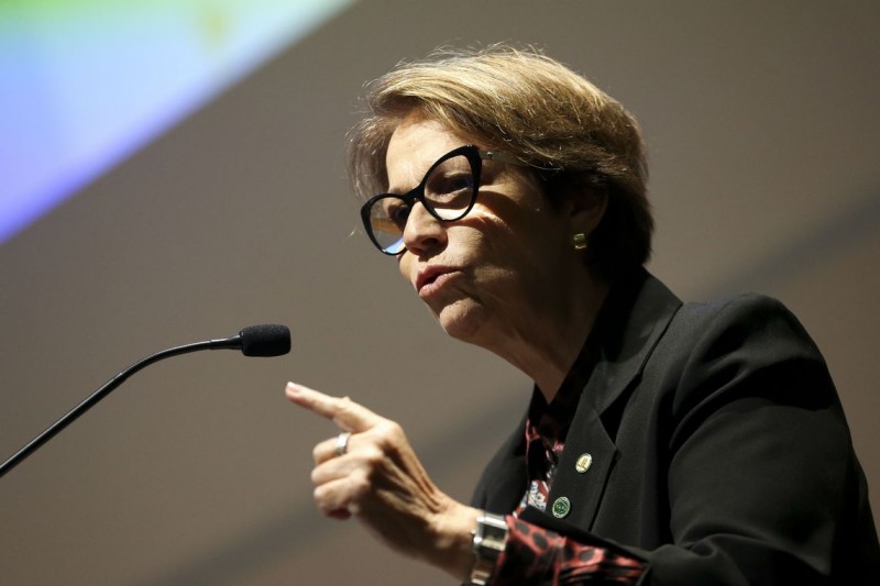 Margem de lucro do produtor está cada vez mais espremida, diz Tereza