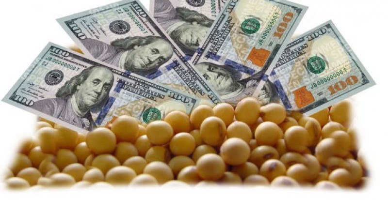 Soja dá continuidade ao movimento de baixa