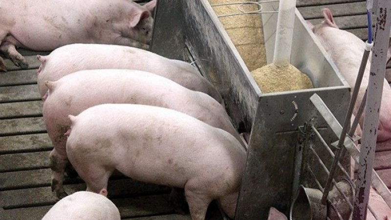 Batalha deve durar anos e impactar preços
