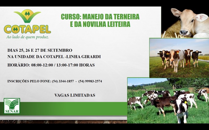 Programa Formar para Fortalecer