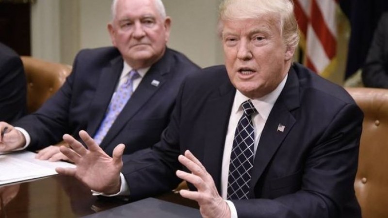 USDA confirma ajuda de US$ 16 bi a produtores dos EUA; US$ 14,5 bi em subsídios