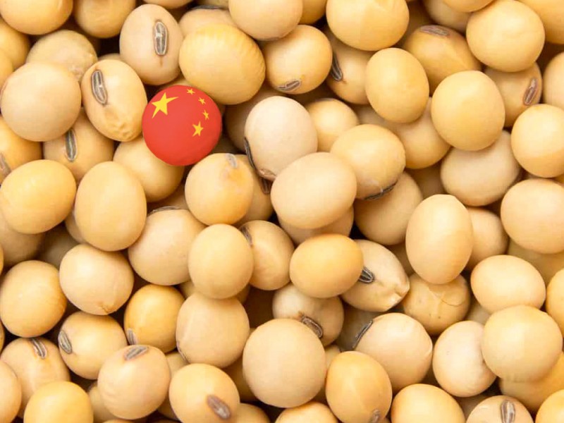 Em razão da peste suína africana, chineses importaram 12% menos soja este ano