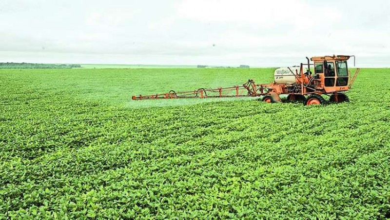 USDA reduz safra de soja em 8 mi de t com menores área e produtividade
