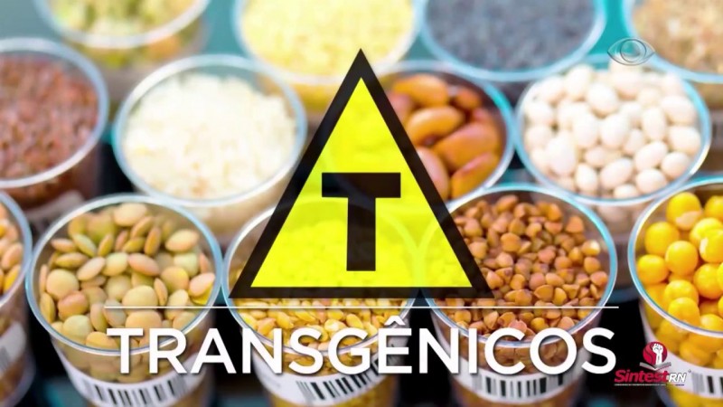 Transgênicos serão necessários para alimentar o mundo