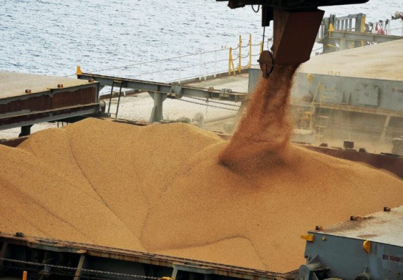 Soja: exportação cresce 35% frente a 2018 mas preço da tonelada cai 9%