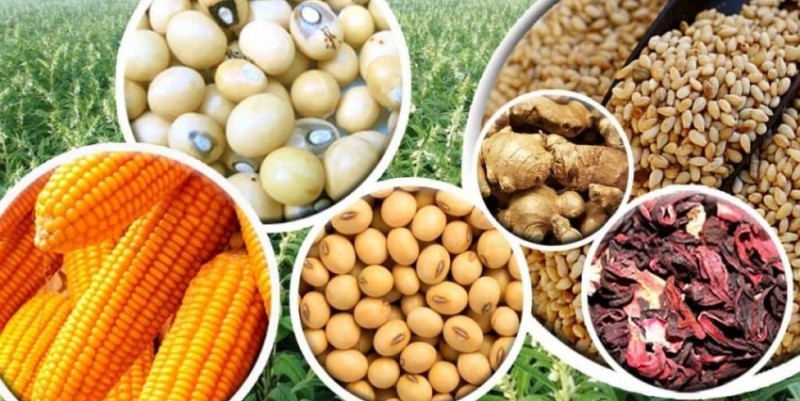 Commodities agrícolas corrigem últimas altas