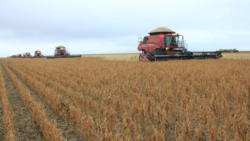 Soja caminha de lado na Bolsa de Chicago nesta 4ª feira à espera do novo USDA