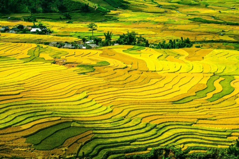 Produção de soja na China aumenta 13%