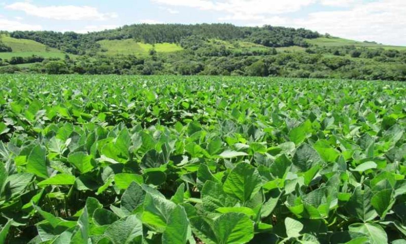Chuvas amenizam no Sudeste; nova frente fria leva condição de chuvas para o RS