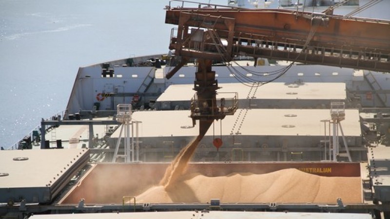 China vai diversificar importações agrícolas e ampliar apoio à soja local, diz governo