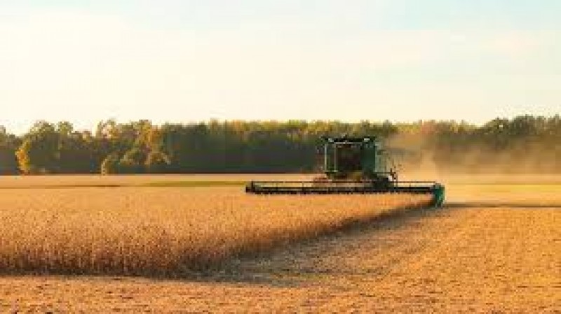 Andamento da colheita soja eleva expectativa de produção