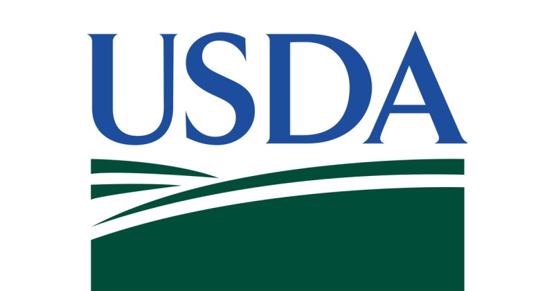 USDA aumenta em 3 pontos percentuais lavouras de soja e milho dos EUA em boas condições