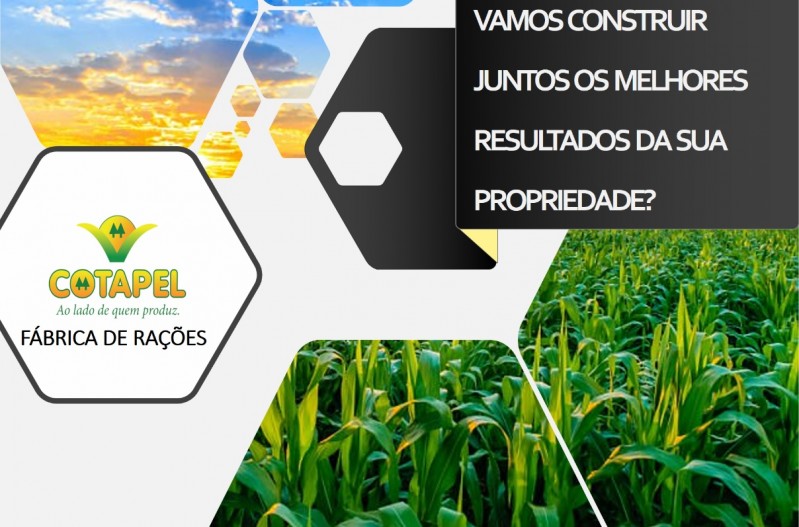 Fábrica de Rações da Cotapel!