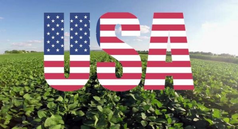 USDA reduz safra e estoques finais dos EUA, enquanto aumenta exportações e importações