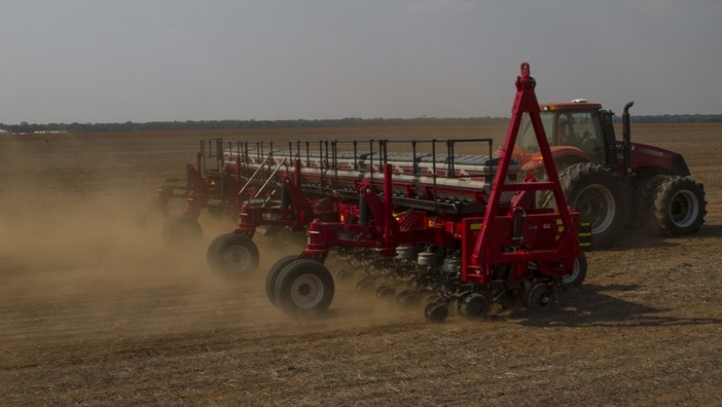 USDA informa plantio da soja em 61%, levemente acima do esperado