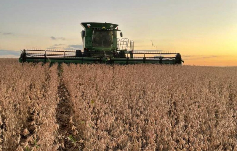 Custos das culturas de soja e milho sobem acima de 25% na próxima safra