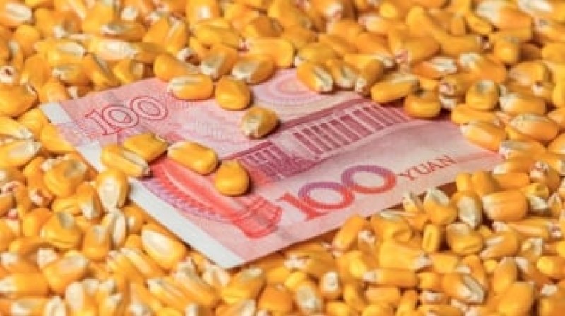 China disponibiliza 10 bilhões de yuans para subsidiar produtores de grãos