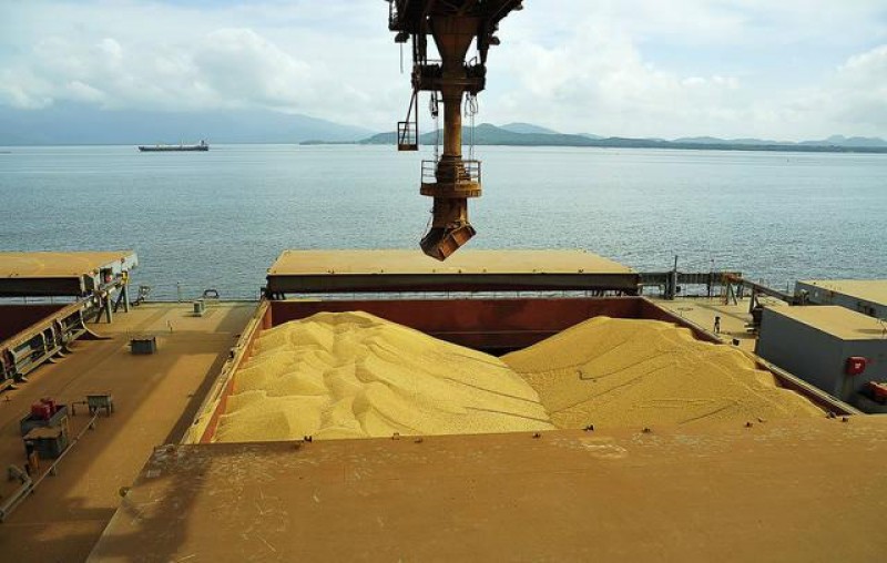 Brasil deve exportar 7,3 milhões de toneladas de soja em julho