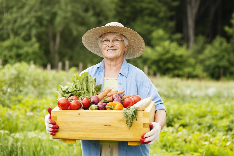 7 em cada 10 pessoas veem o agronegócio de modo positiva