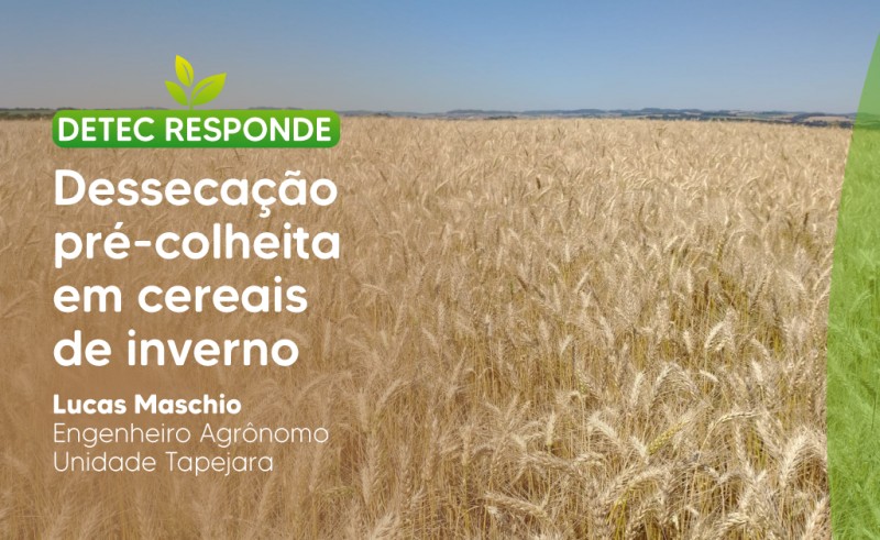 Dessecação pré-colheita em cereais de inverno